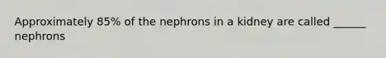 Approximately 85% of the nephrons in a kidney are called ______ nephrons