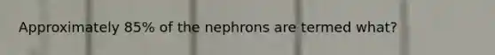 Approximately 85% of the nephrons are termed what?