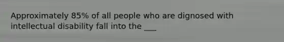 Approximately 85% of all people who are dignosed with intellectual disability fall into the ___