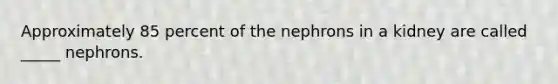 Approximately 85 percent of the nephrons in a kidney are called _____ nephrons.