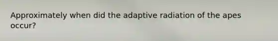 Approximately when did the adaptive radiation of the apes occur?