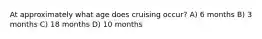 At approximately what age does cruising occur? A) 6 months B) 3 months C) 18 months D) 10 months