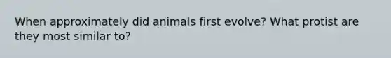 When approximately did animals first evolve? What protist are they most similar to?