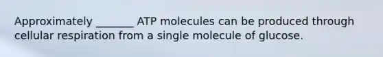 Approximately _______ ATP molecules can be produced through <a href='https://www.questionai.com/knowledge/k1IqNYBAJw-cellular-respiration' class='anchor-knowledge'>cellular respiration</a> from a single molecule of glucose.