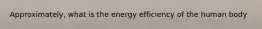 Approximately, what is the energy efficiency of the human body