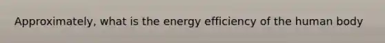 Approximately, what is the energy efficiency of the human body