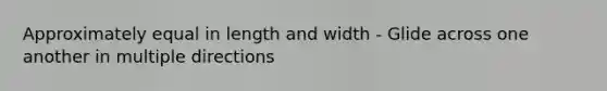 Approximately equal in length and width - Glide across one another in multiple directions