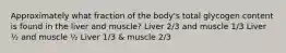 Approximately what fraction of the body's total glycogen content is found in the liver and muscle?​ Liver 2/3 and muscle 1/3​ Liver ½ and muscle ½​ Liver 1/3 & muscle 2/3​