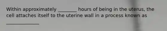 Within approximately ________ hours of being in the uterus, the cell attaches itself to the uterine wall in a process known as ______________