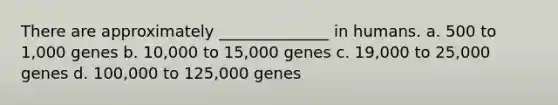 There are approximately ______________ in humans. a. 500 to 1,000 genes b. 10,000 to 15,000 genes c. 19,000 to 25,000 genes d. 100,000 to 125,000 genes