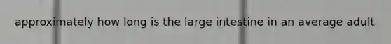 approximately how long is the large intestine in an average adult