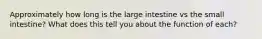 Approximately how long is the large intestine vs the small intestine? What does this tell you about the function of each?