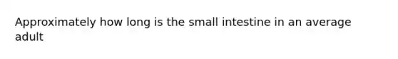 Approximately how long is the small intestine in an average adult