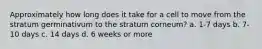 Approximately how long does it take for a cell to move from the stratum germinativum to the stratum corneum? a. 1-7 days b. 7-10 days c. 14 days d. 6 weeks or more