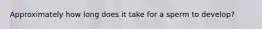Approximately how long does it take for a sperm to develop?
