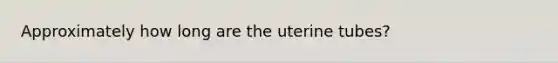 Approximately how long are the uterine tubes?