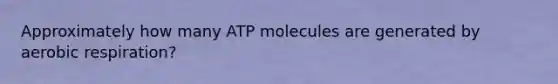 Approximately how many ATP molecules are generated by aerobic respiration?