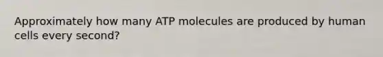 Approximately how many ATP molecules are produced by human cells every second?