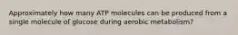 Approximately how many ATP molecules can be produced from a single molecule of glucose during aerobic metabolism?