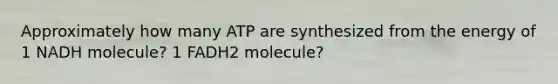 Approximately how many ATP are synthesized from the energy of 1 NADH molecule? 1 FADH2 molecule?