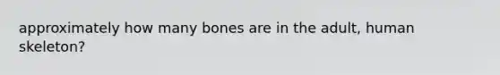 approximately how many bones are in the adult, human skeleton?