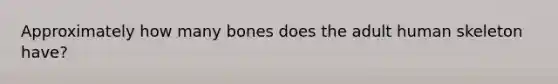 Approximately how many bones does the adult human skeleton have?