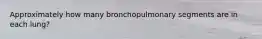 Approximately how many bronchopulmonary segments are in each lung?