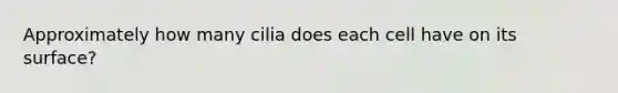 Approximately how many cilia does each cell have on its surface?