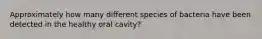 Approximately how many different species of bacteria have been detected in the healthy oral cavity?