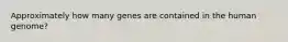 Approximately how many genes are contained in the human genome?