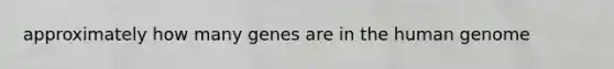 approximately how many genes are in the human genome