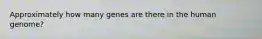 Approximately how many genes are there in the human genome?