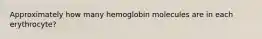 Approximately how many hemoglobin molecules are in each erythrocyte?