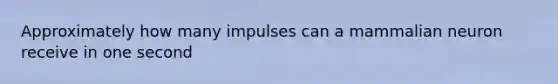 Approximately how many impulses can a mammalian neuron receive in one second