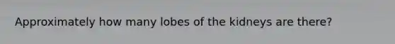 Approximately how many lobes of the kidneys are there?