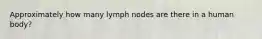 Approximately how many lymph nodes are there in a human body?