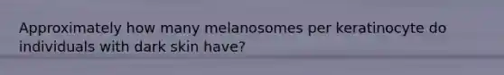 Approximately how many melanosomes per keratinocyte do individuals with dark skin have?