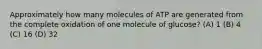 Approximately how many molecules of ATP are generated from the complete oxidation of one molecule of glucose? (A) 1 (B) 4 (C) 16 (D) 32