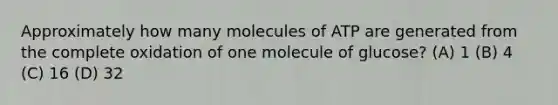 Approximately how many molecules of ATP are generated from the complete oxidation of one molecule of glucose? (A) 1 (B) 4 (C) 16 (D) 32