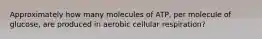 Approximately how many molecules of ATP, per molecule of glucose, are produced in aerobic cellular respiration?