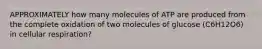 APPROXIMATELY how many molecules of ATP are produced from the complete oxidation of two molecules of glucose (C6H12O6) in cellular respiration?