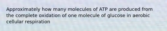 Approximately how many molecules of ATP are produced from the complete oxidation of one molecule of glucose in aerobic cellular respiration