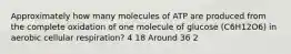 Approximately how many molecules of ATP are produced from the complete oxidation of one molecule of glucose (C6H12O6) in aerobic cellular respiration? 4 18 Around 36 2