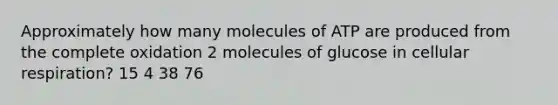 Approximately how many molecules of ATP are produced from the complete oxidation 2 molecules of glucose in cellular respiration? 15 4 38 76