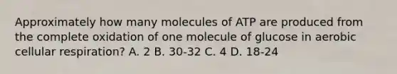 Approximately how many molecules of ATP are produced from the complete oxidation of one molecule of glucose in aerobic cellular respiration? A. 2 B. 30-32 C. 4 D. 18-24