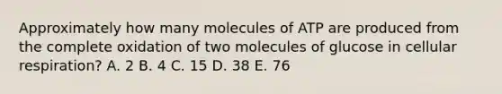 Approximately how many molecules of ATP are produced from the complete oxidation of two molecules of glucose in cellular respiration? A. 2 B. 4 C. 15 D. 38 E. 76