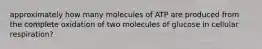 approximately how many molecules of ATP are produced from the complete oxidation of two molecules of glucose in cellular respiration?