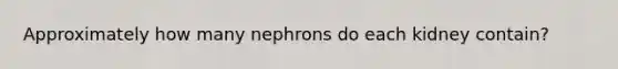 Approximately how many nephrons do each kidney contain?