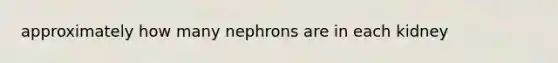 approximately how many nephrons are in each kidney