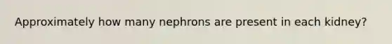 Approximately how many nephrons are present in each kidney?